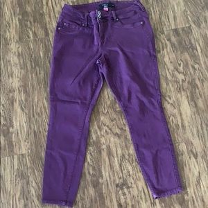 Purple Torrid Denim Jeans 16R